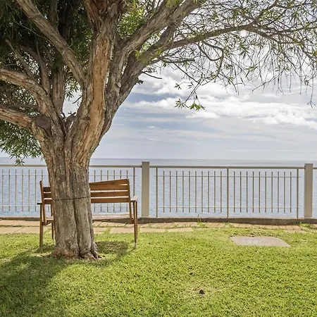 Lido By Homie * Funchal (Madeira)